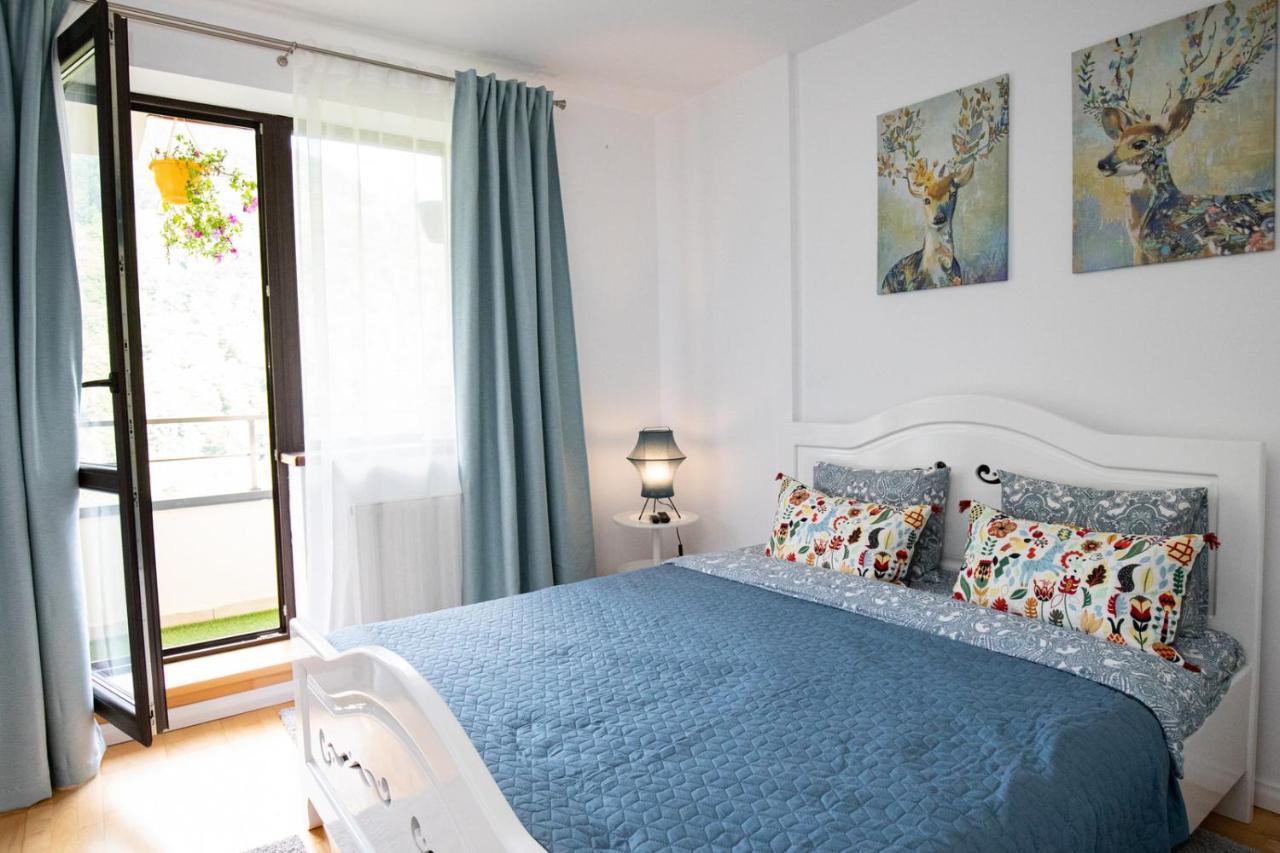 סינאיה Apartament Maza מראה חיצוני תמונה